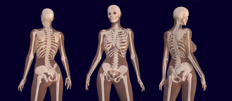 Healthy Aging After 50: Muscle, Bone, and Cognitive Strategies for Men and Women